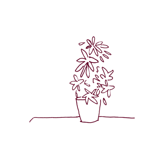 Vase with flowers